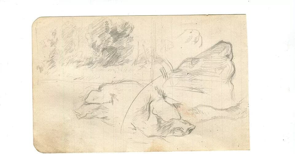 Vintage Pencil Drawing Original Profil, Head of a Pig, Animals image 6