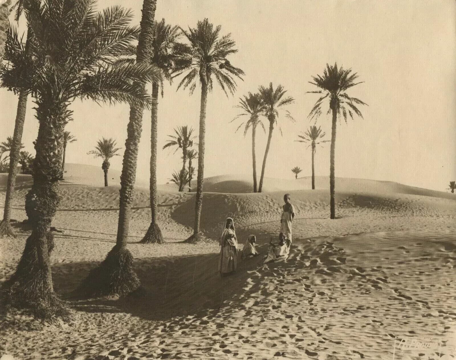 Vintage Photographys R. PROUHO - Desert, Children, Algeria c.1910 image 4