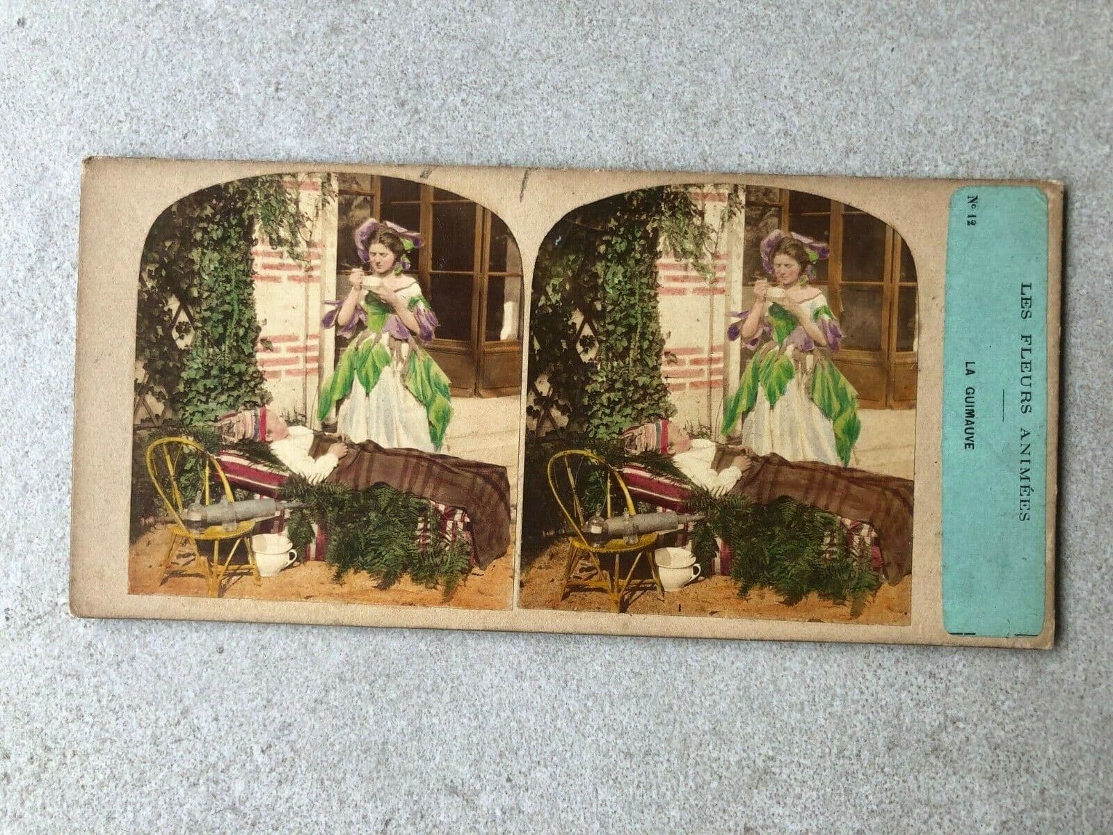 Vintage Stereoview Figures and Flowers, Furne & Tournier, Albumen c.1860 x9 image 4