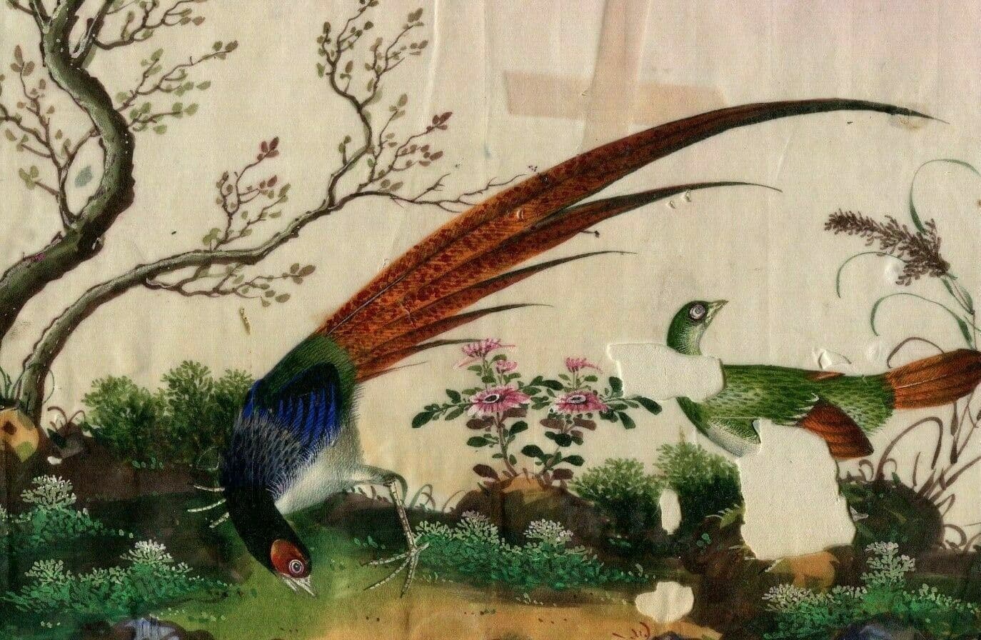 Antique Drawing 19th century Canton Qing Chinese Asia Peacock Asian Artwork