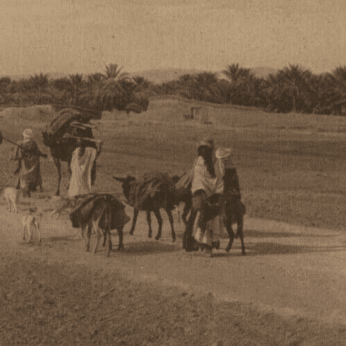 Vintage Photographs LEHNERT & LANDROCK - Heliogravure, Caravan to Oasis c.1910 image 2