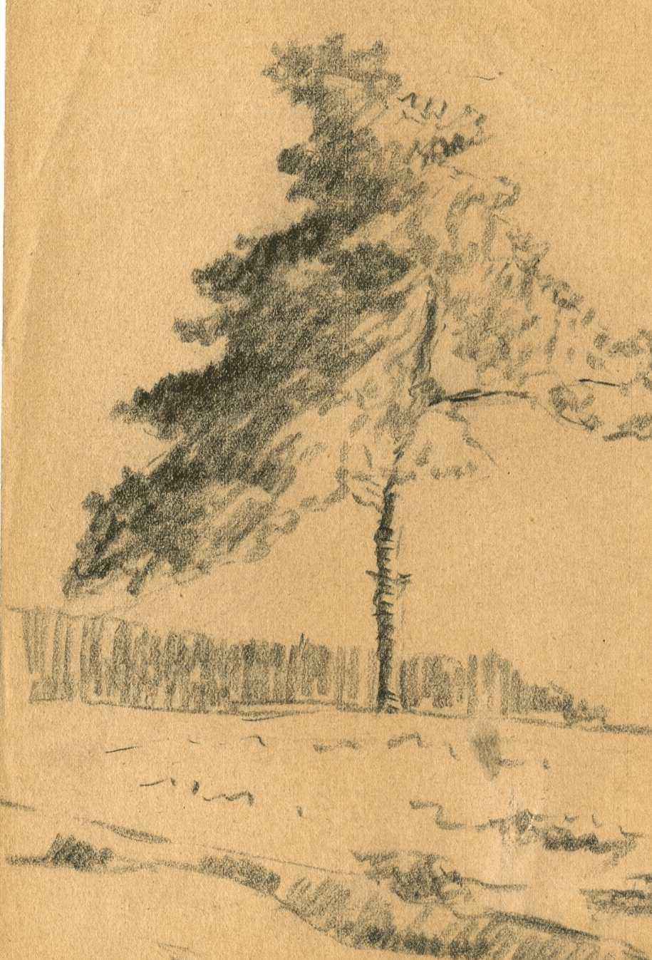 Antique Original Pencil Drawing Tree, Vegetation, Landscape, Leaves c. 1900 image 1