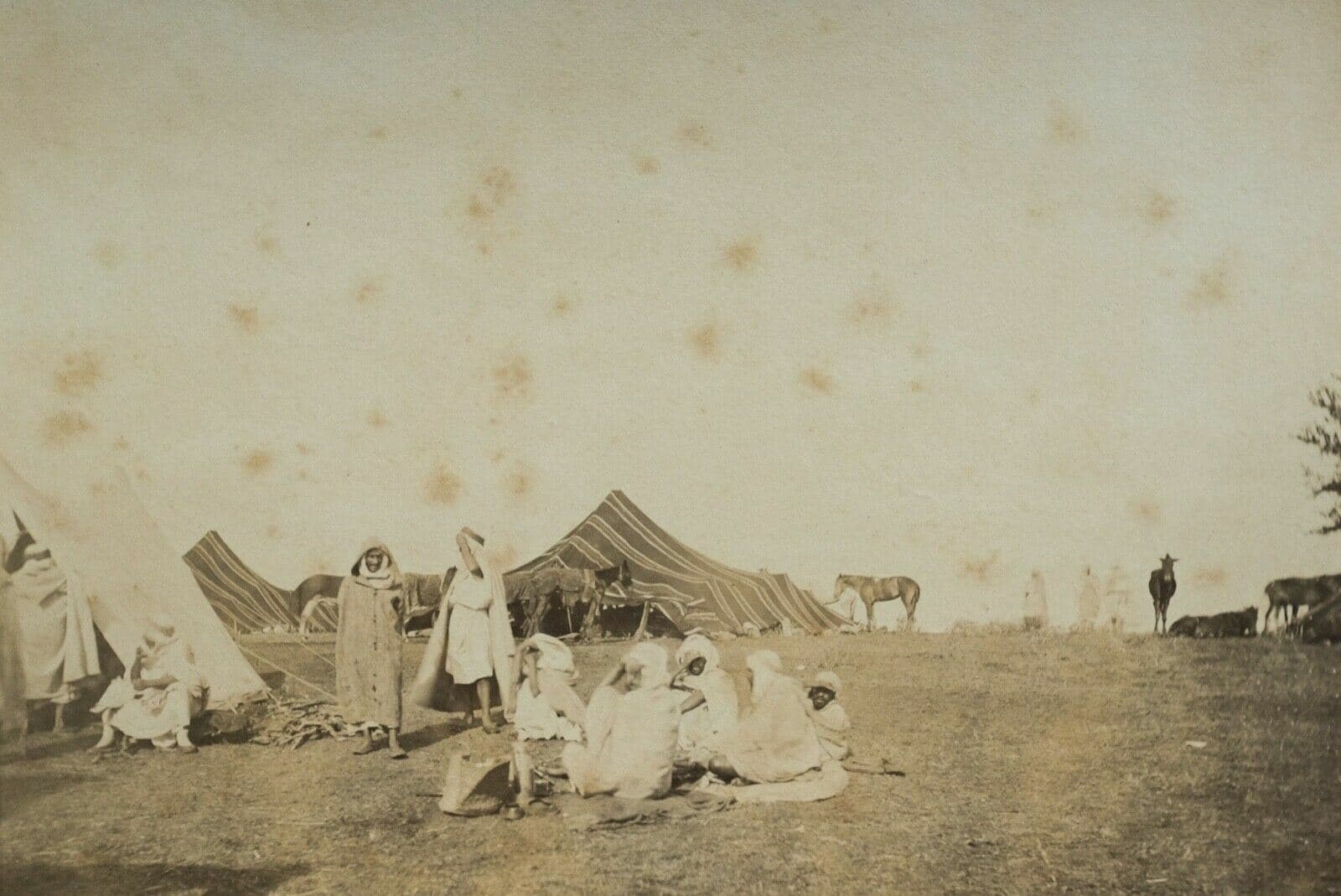 Vintage Photographs Claude Joseph Portier - Café Maure, Albumen, Algeria c. 1870