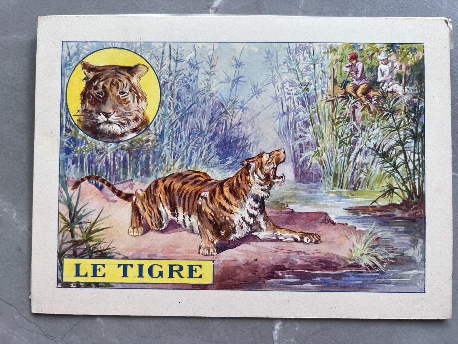 Drawing Illustration Tiger image 2
