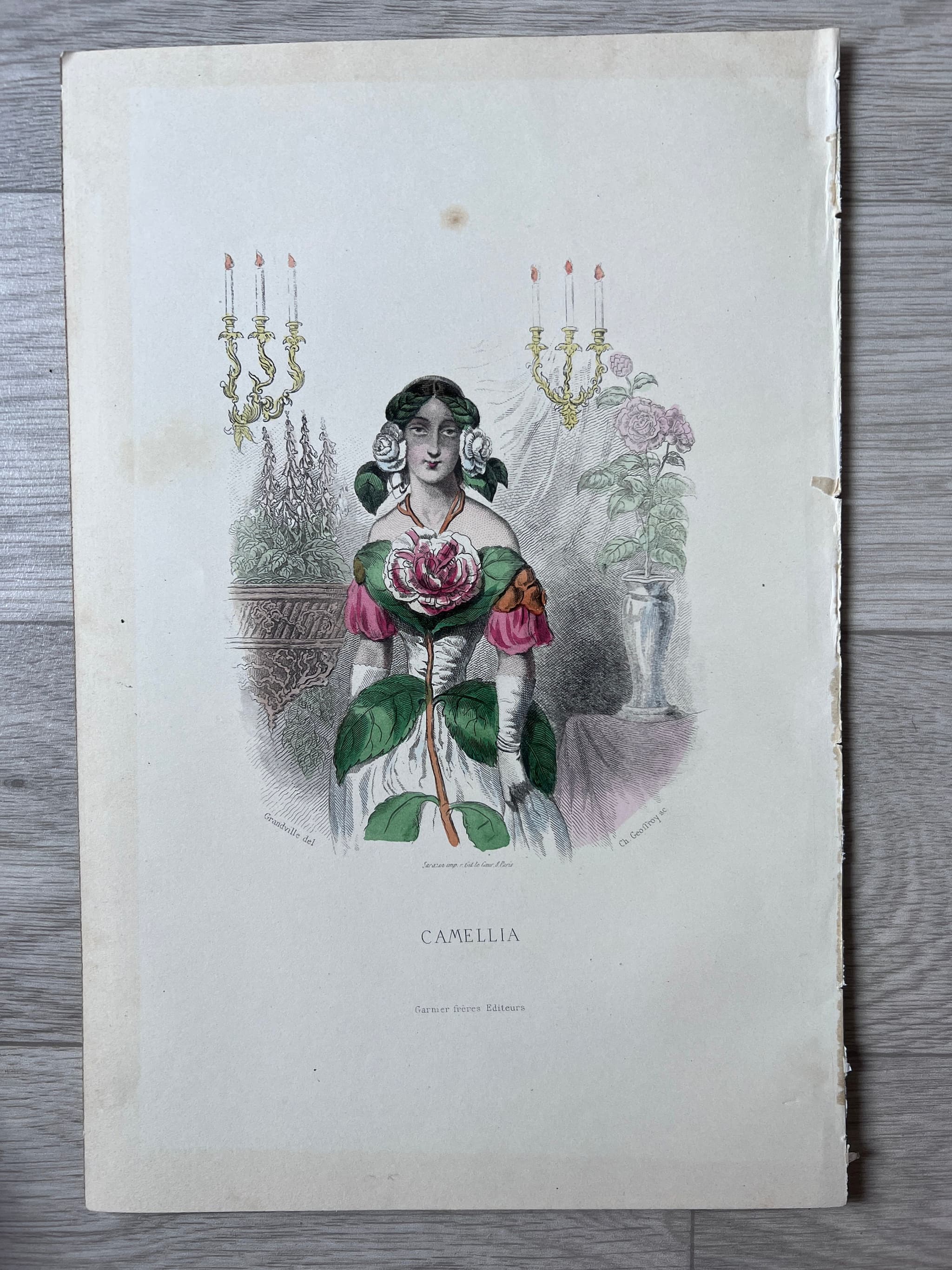Elegant Floral Personification Camellia by Jean Ignace Isidore GRANDVILLE image 2