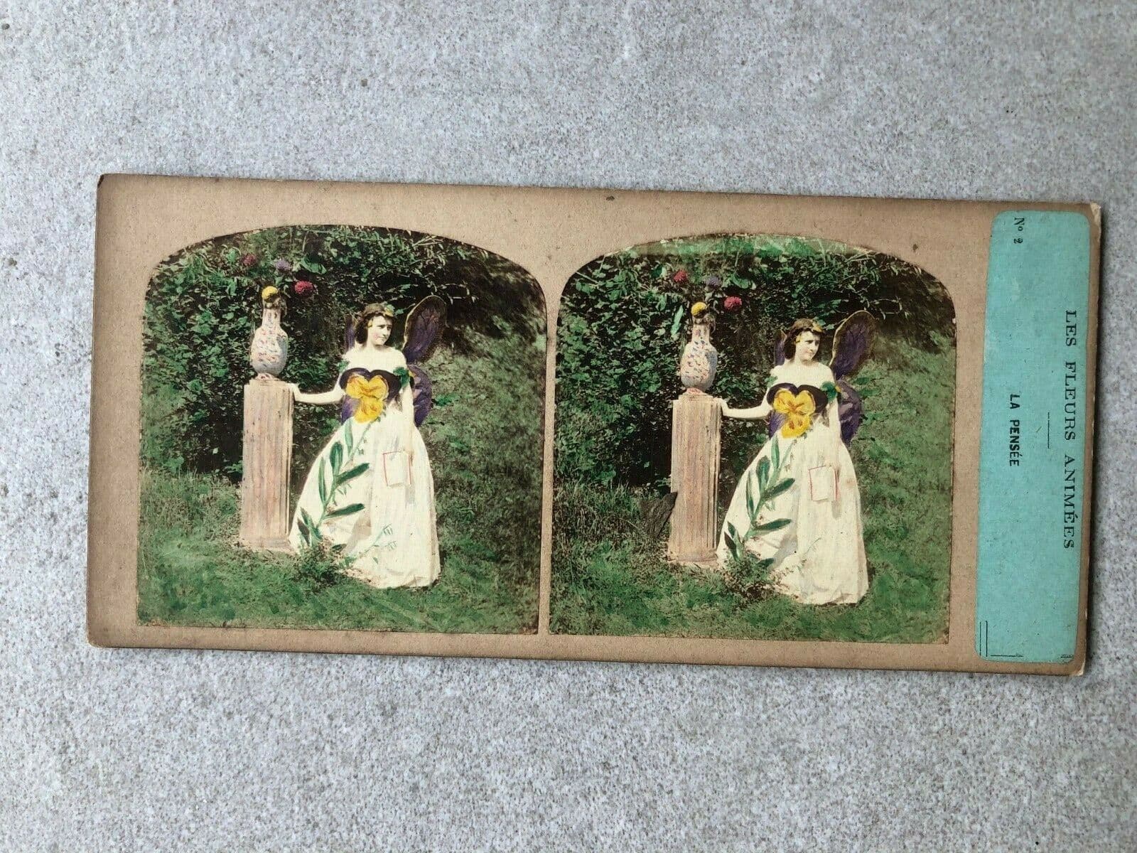 Vintage Stereoview Figures and Flowers, Furne & Tournier, Albumen c.1860 x9 image 6