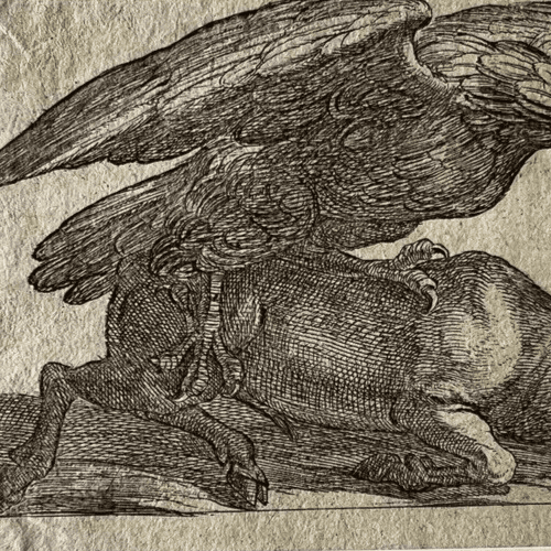 Antique Original Etching 17th century engraving, Eagle and Dear image 4