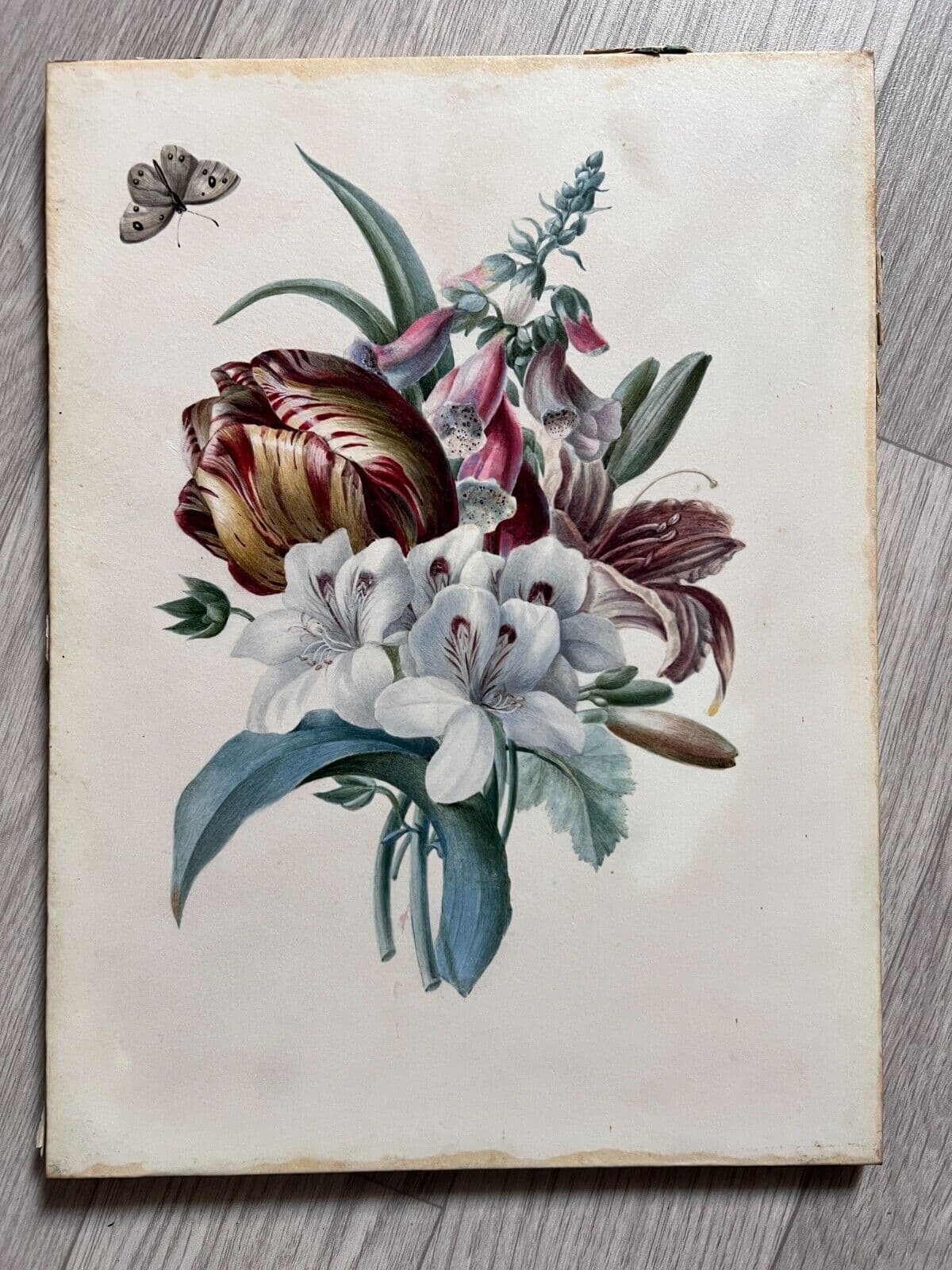 Antique Painting Original Flowers, Floral, Still Life, Butterfly, Tulip image 2