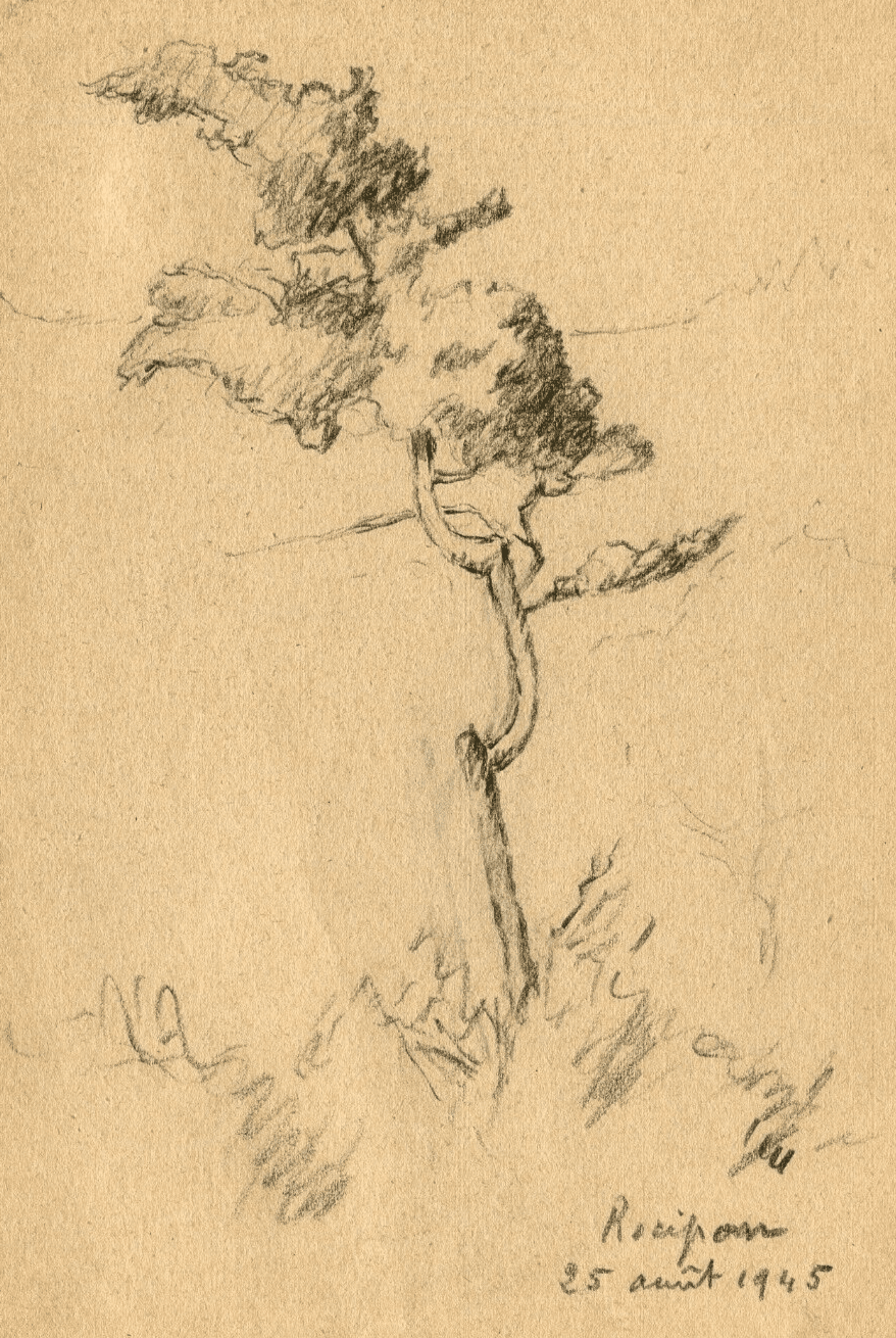 Vintage Pencil Original Drawing signed Tree Landscape Recipon 1945 image 1