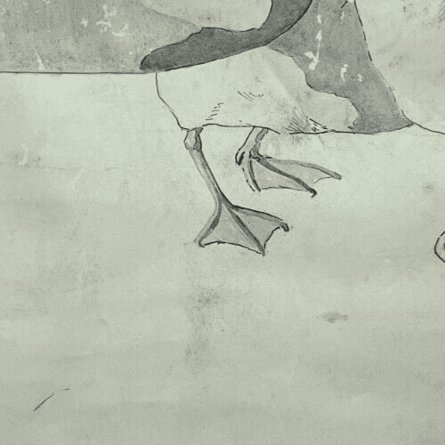 Antique Original Drawing Bird, Duck, Animal, Still Life image 3