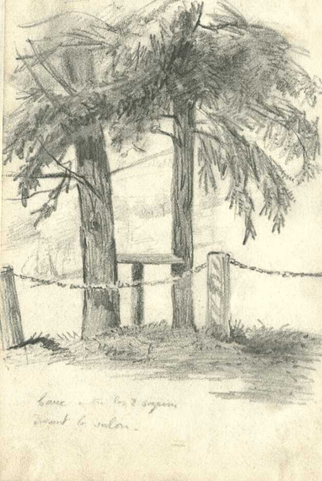 Vintage Pencil Original Drawing of Fir, Willow Trees x2 image 1