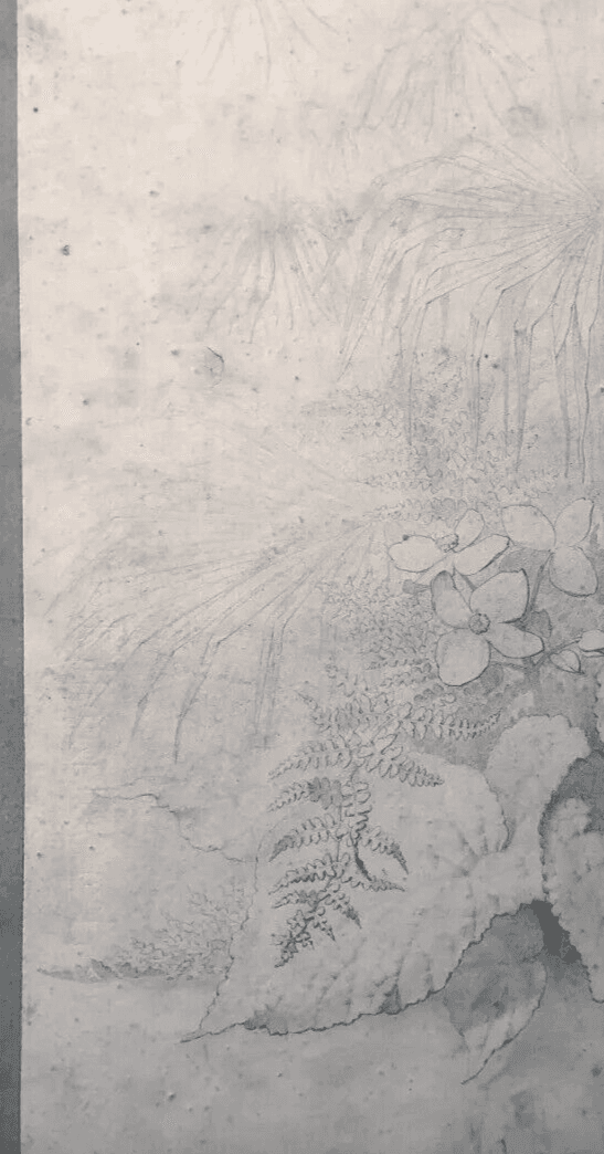 Original Antique Pencil 19th century Drawing Plants and Leaves Artwork image 4