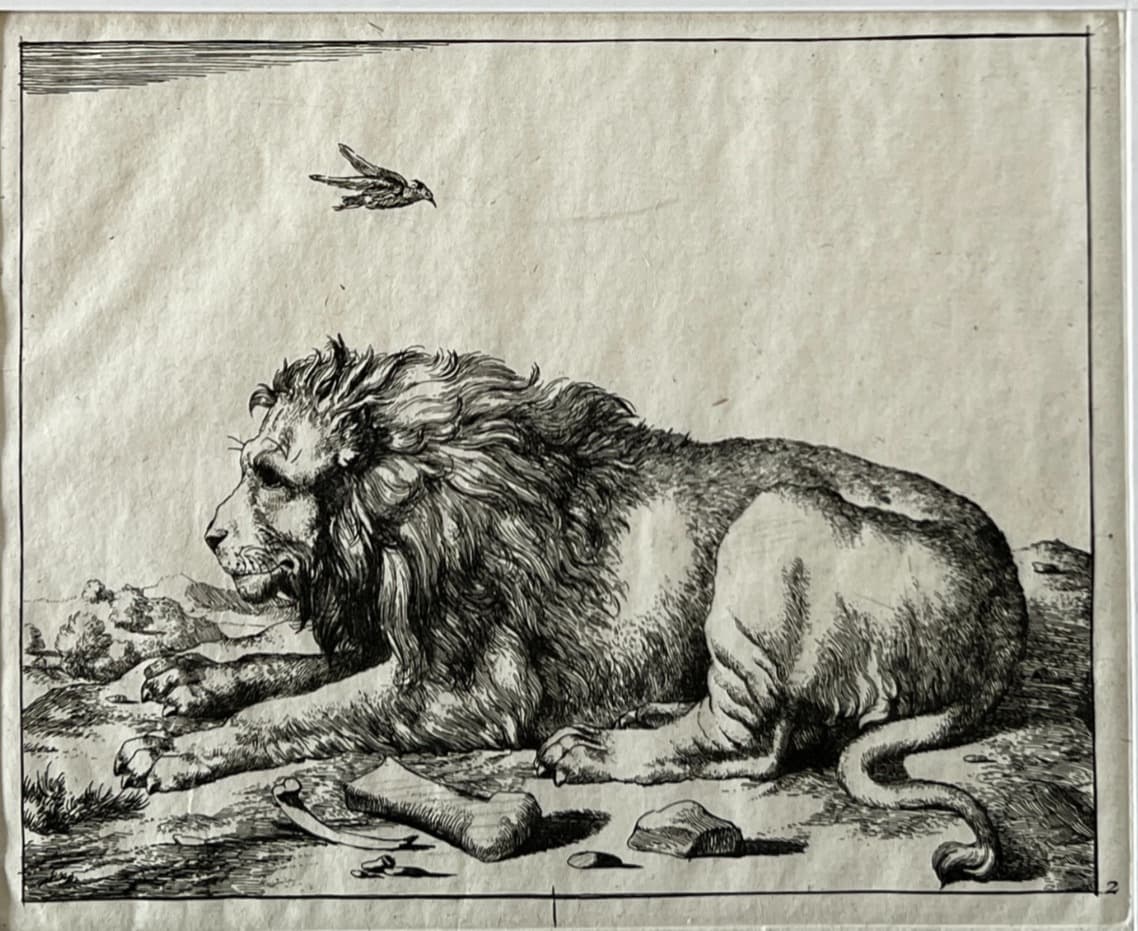 Marcus de Bye (1831-1688) Lions Engravings image 1