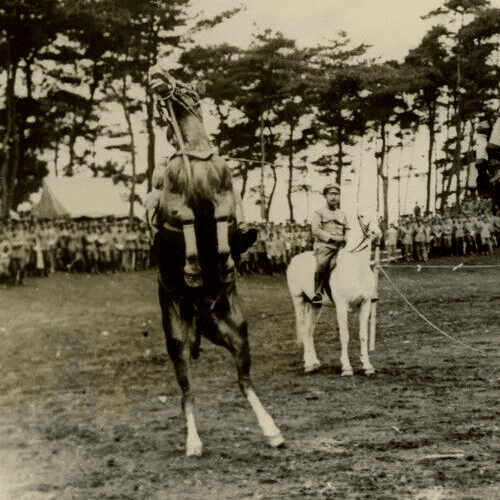 Vintage Photography Original Horses The Crown Prince Life in Japan 1920' image 4