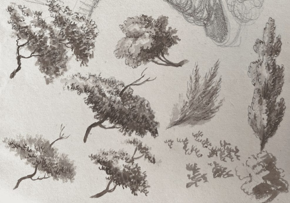 Antique Original Drawing Woman Portrait with Hat, Trees 19th century image 3