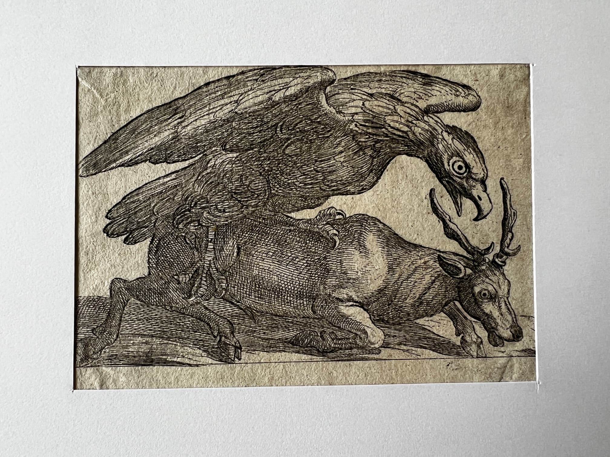 17th century engraving, Eagle and Dear image 2