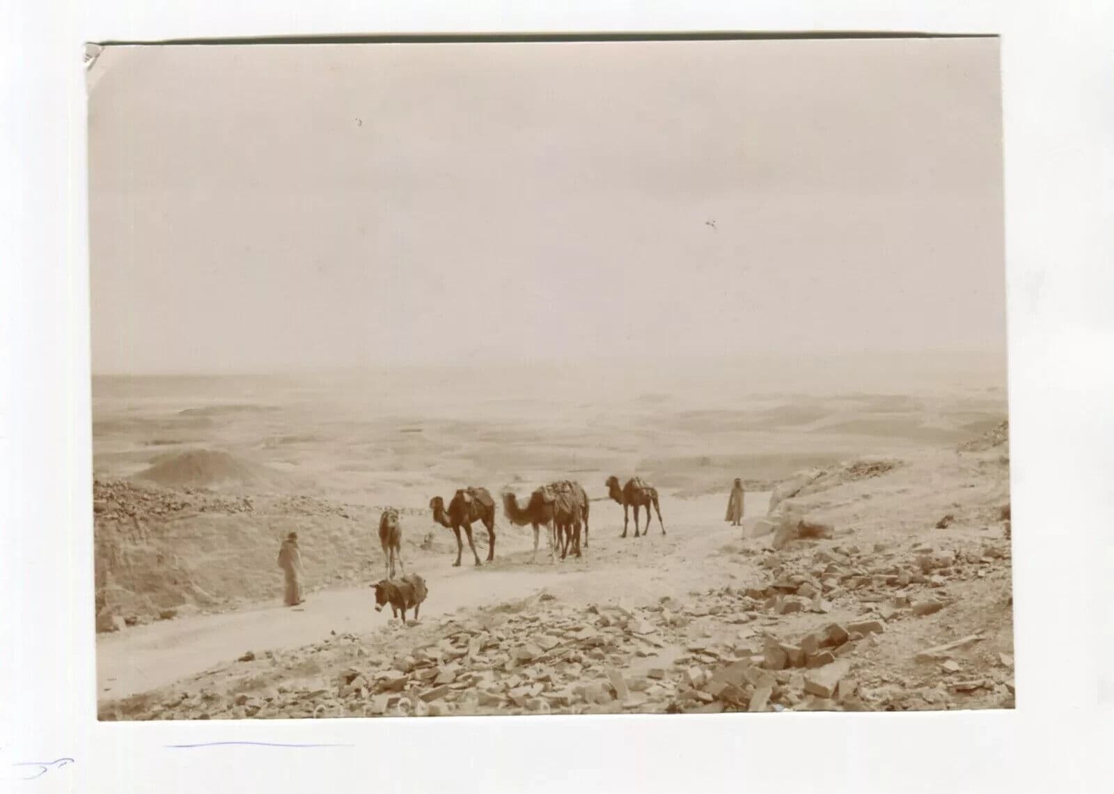 Vintage Photographs Orientalism Algeria, Mountain, People, Camels image 2