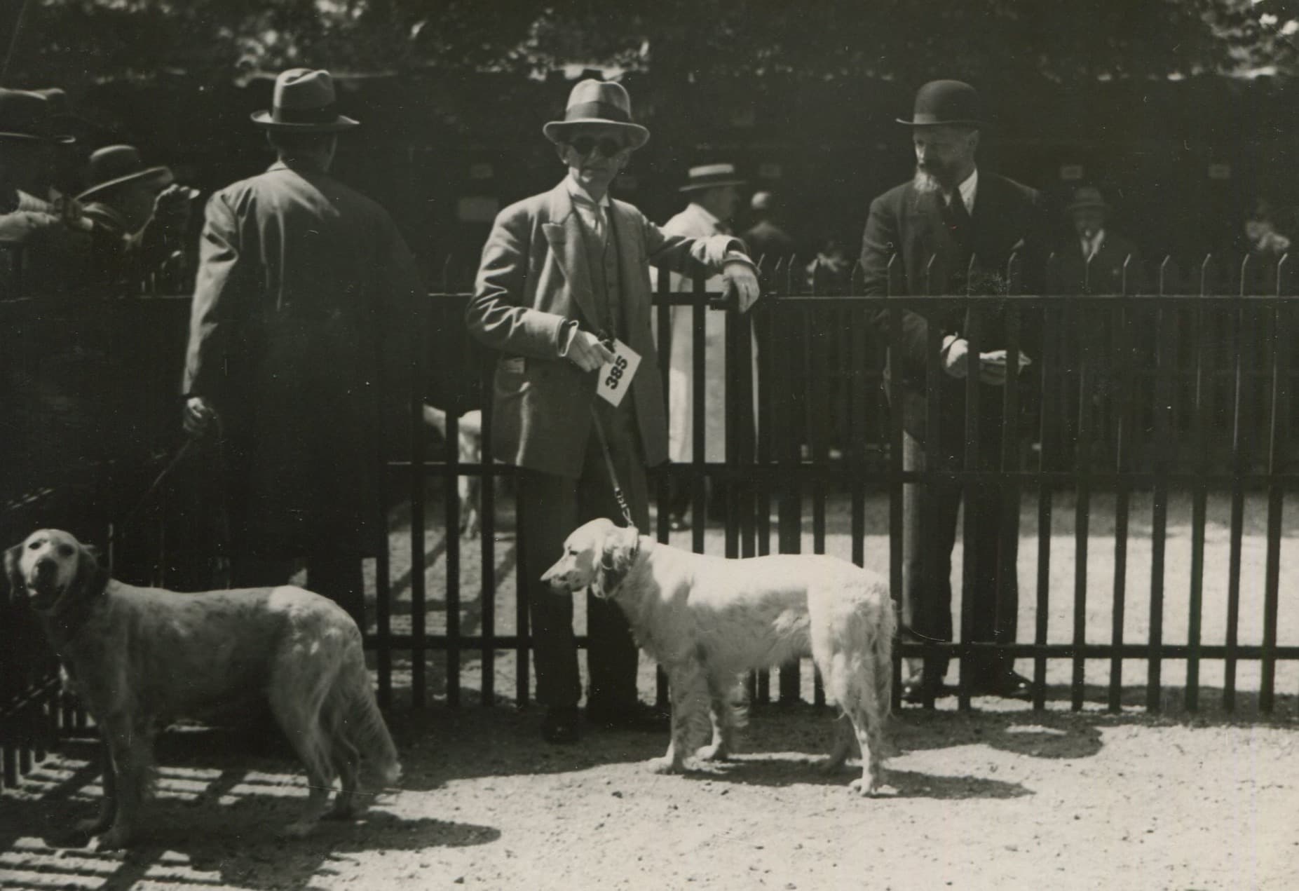 Dog Show Vintage Photograph image 1