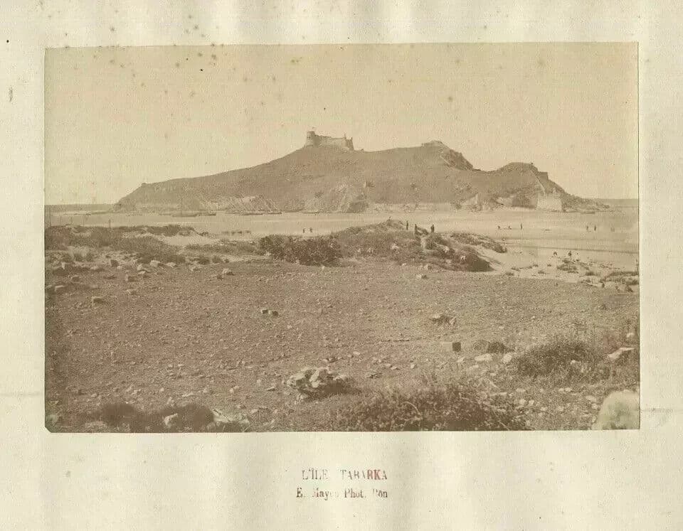 Vintage Photographs E.MAYER - Island of Tabarka Albumen c. 1870 image 3