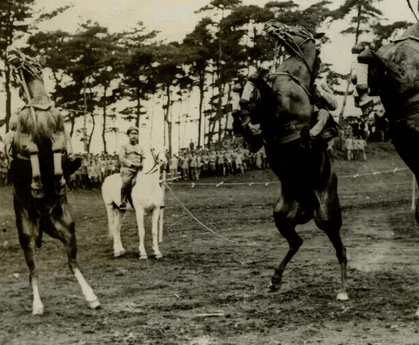 Vintage Photography Original Horses The Crown Prince Life in Japan 1920' image 6