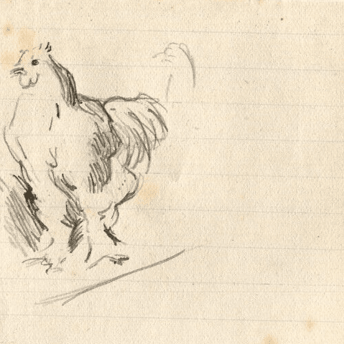 Antique Ink Drawing Original Hen, Animals, Farm image 3