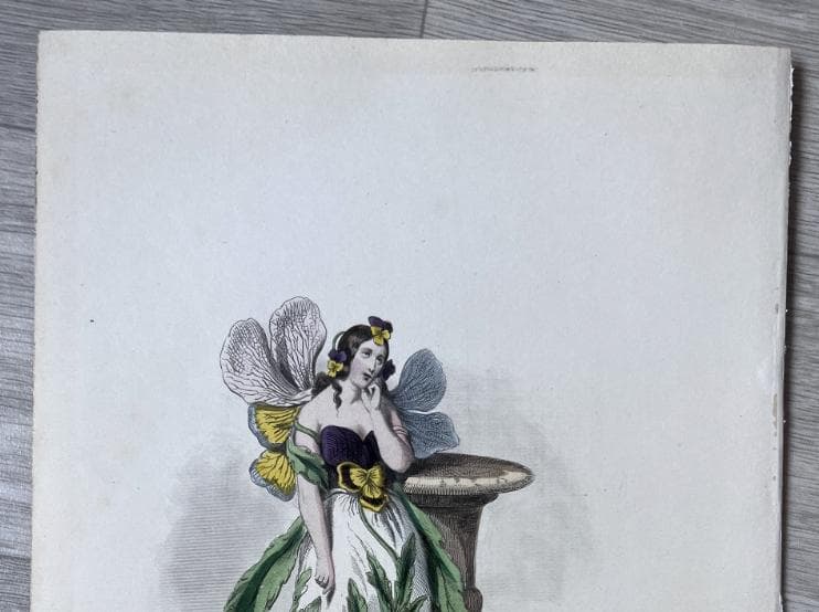 Antique Botanical Costume Illustration "Pensée" Pansy-Inspired Dress 19th image 9