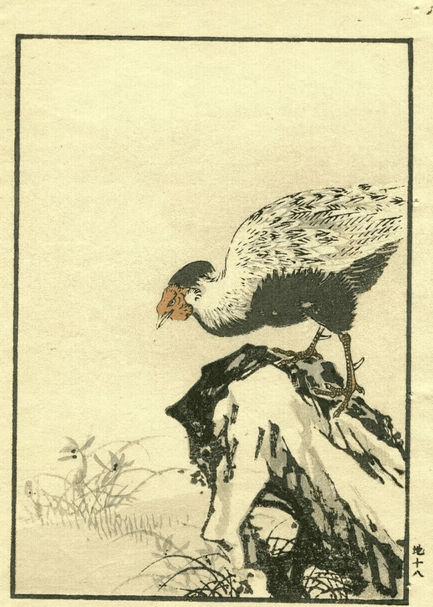 Antique Japanese Floral Woodprint Flowers, Bird, Turkey c. 1890 Art Print Ukiyo image 8