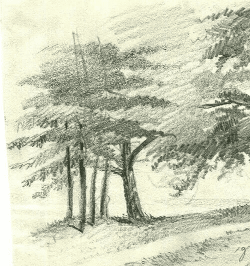 Antique Pencil Drawing Grand Oak Tree of Lignon, Nature, Forest Artwork image 2