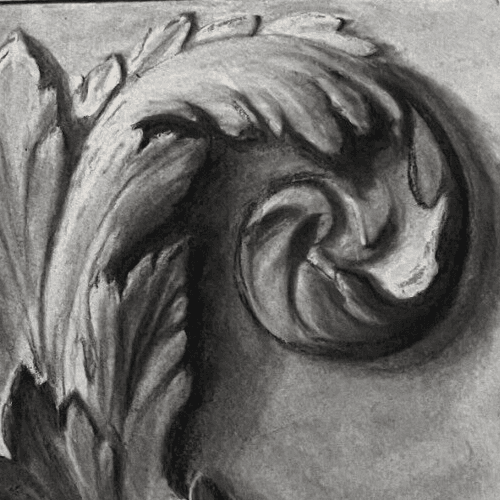 Antique Drawing Charcoal Original Flowers, Floral, Plant Floral image 3