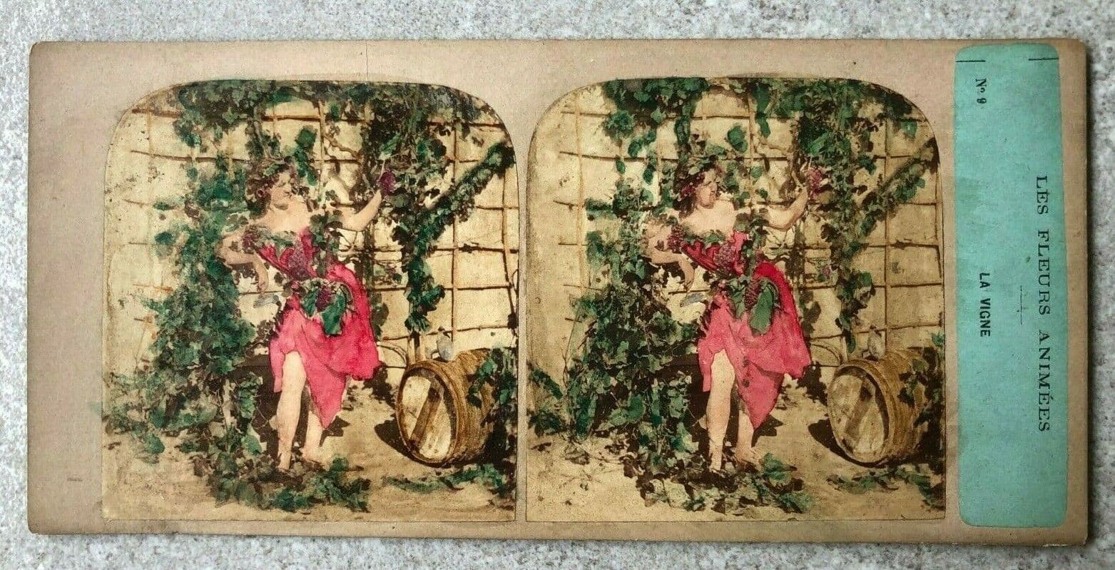 Vintage Stereoview Figures and Flowers, Furne & Tournier, Albumen c.1860 x9 image 1