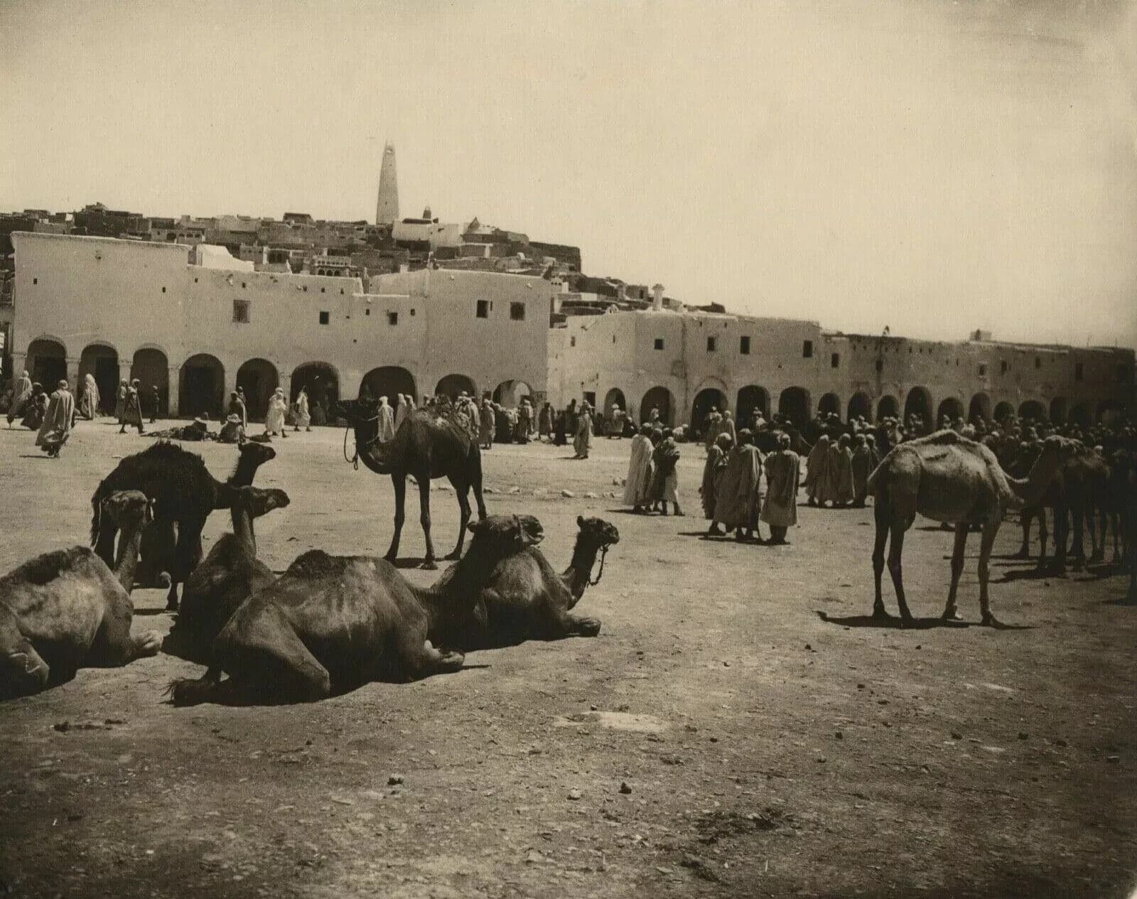Vintage Photographs R.PROUHO - Gardaiah, Mzab Market, Algeria c. 1910 image 3
