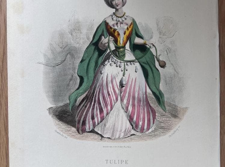 Antique Fashion Engraving - "Tulipe" Exotic Costume Print - 19th Century French image 4