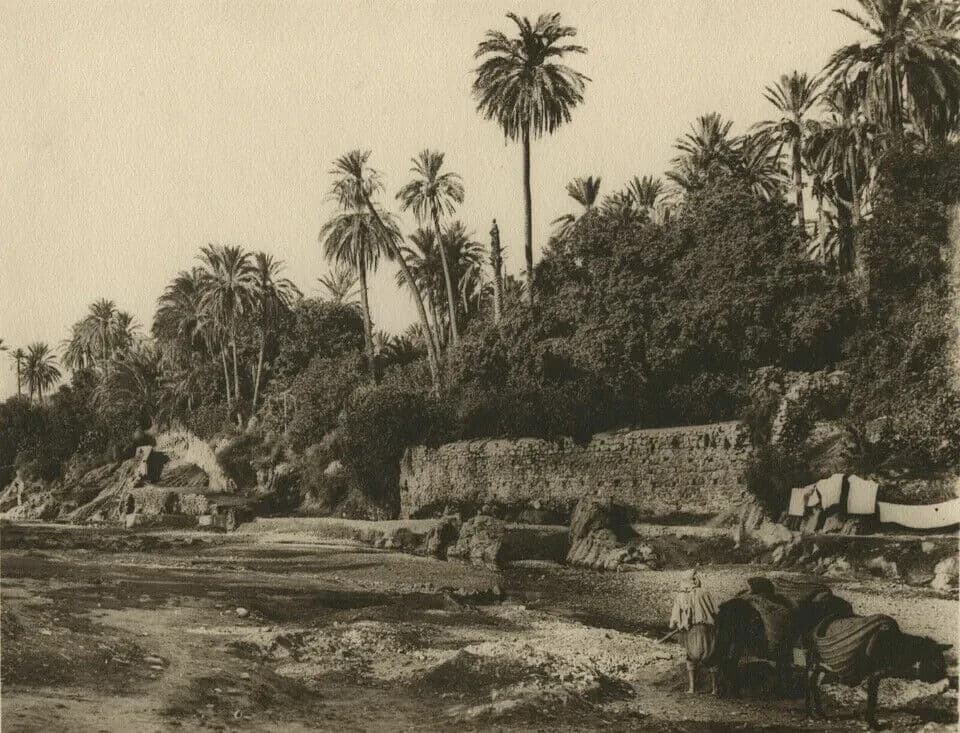 Vintage Photographs R. PROUHO Bou Saada Oued in the oasis, Algeria c.1910 image 1