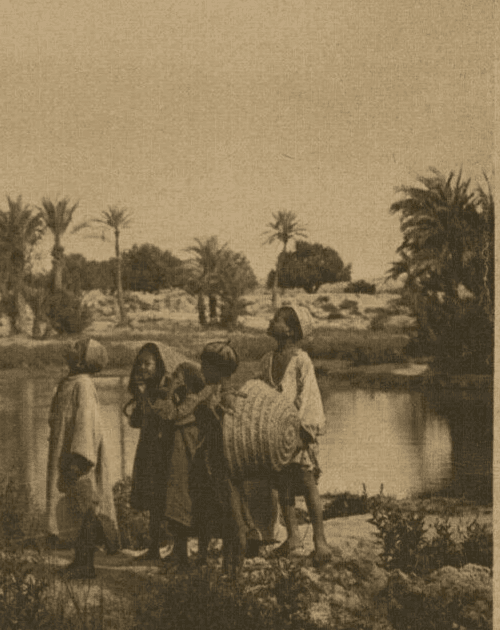 Vintage Photographs LEHNERT & LANDROCK Heliogravure, Harvest Egypt, Oasis 1910 image 2