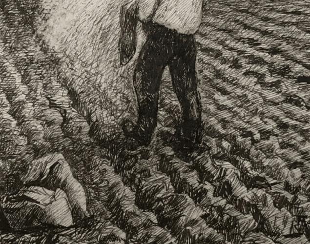 Antique Ink Old Drawing Original Man in the Field, Sow, Farmer image 5