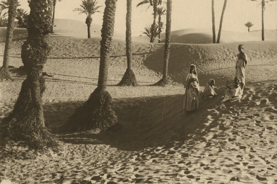 Vintage Photographys R. PROUHO - Desert, Children, Algeria c.1910 image 3
