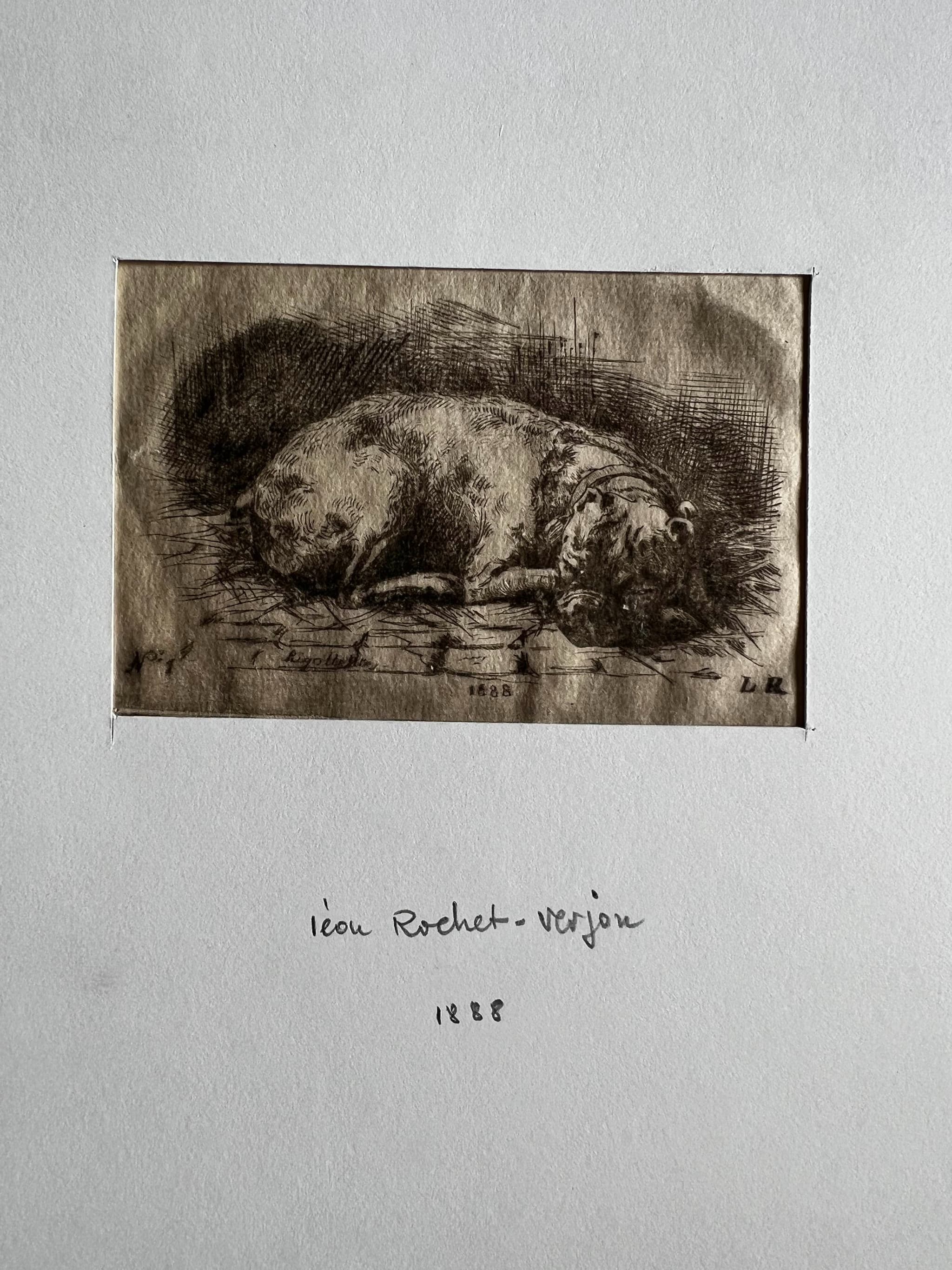 Leon Rochet-Verjon 1888, Dog Etching image 3