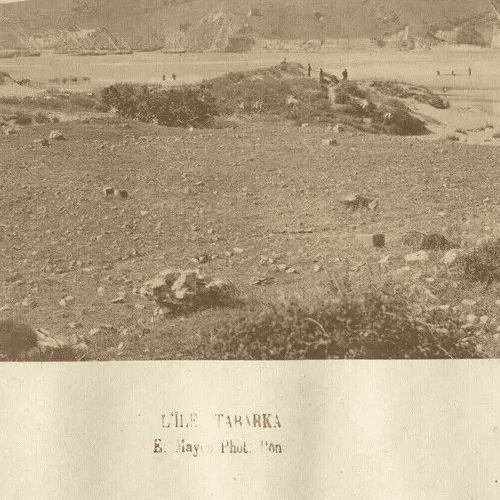 Vintage Photographs E.MAYER - Island of Tabarka Albumen c. 1870 image 2