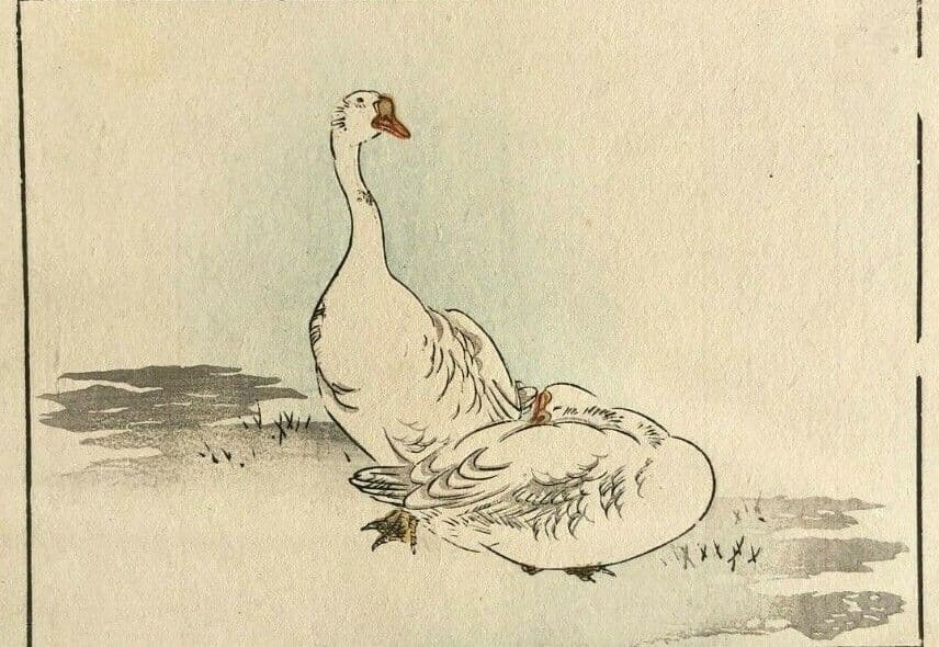 Japanese Antique Goose Animal Woodprint c. 1830 Asian Art Print Ukiyo-e image 1