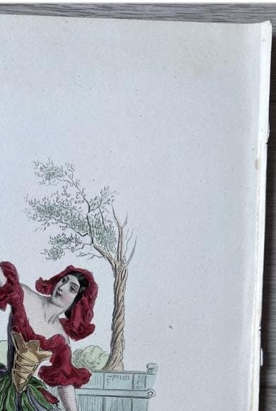 Romantic Vintage Botanical Illustration Pomegranate by Jean Ignace Isidore image 7