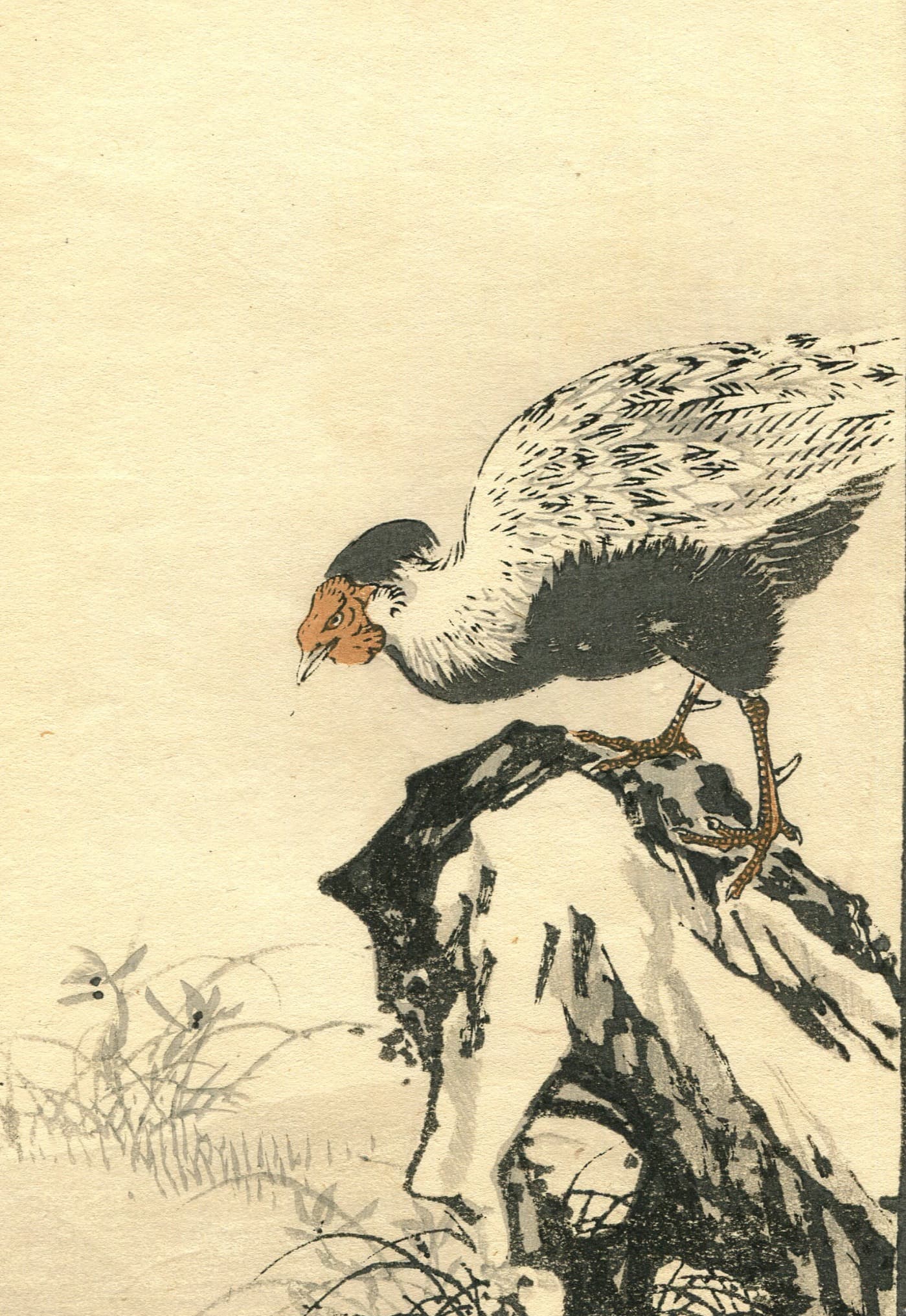 Wild Turkey Japanese Ukiyo-e Print c. 1890