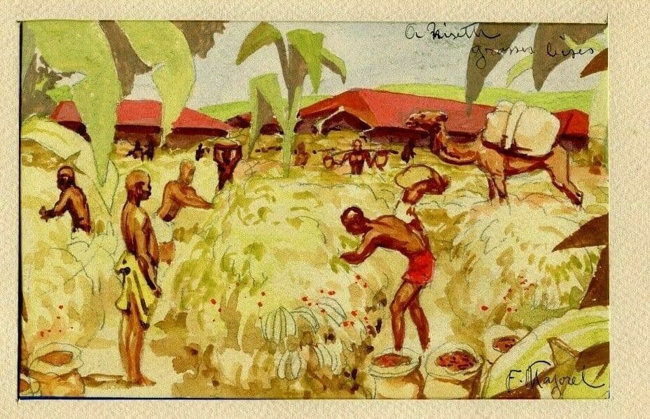 Fernand MAJOREL Fields, Africa, Banana Drawing