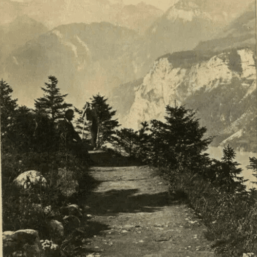 CDV Vintage Photographs Ad BRAUN - Landscape Switzerland Grutli c.1870 image 1