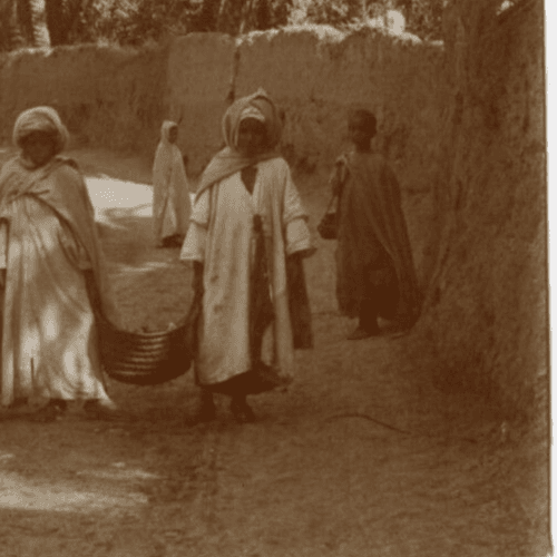 Vintage Photographs Orientalism Algeria, People, Palm Trees image 5