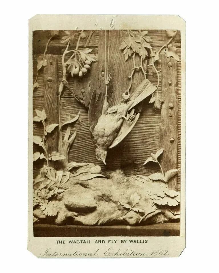 CDV Photograph - LONDON STEREOSCOPIC - International Exhibition, Still life 1862 image 2