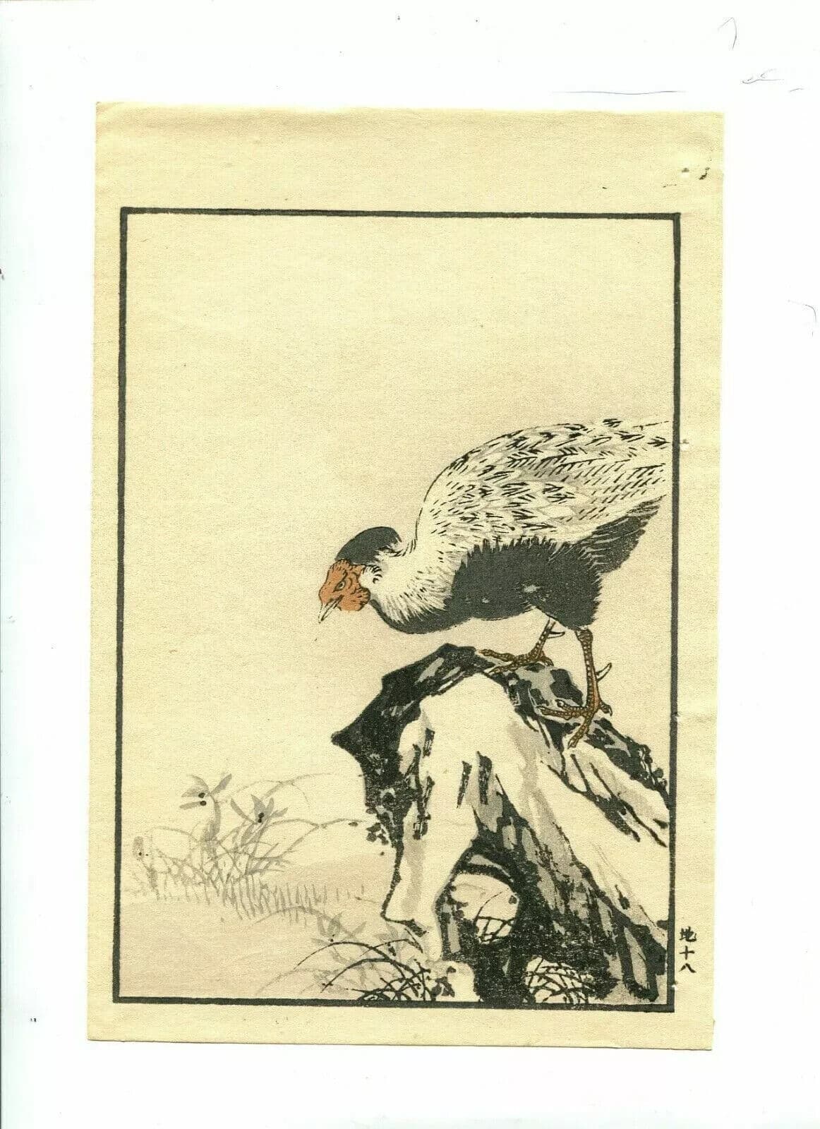 Antique Japanese Floral Woodprint Flowers, Bird, Turkey c. 1890 Art Print Ukiyo image 2