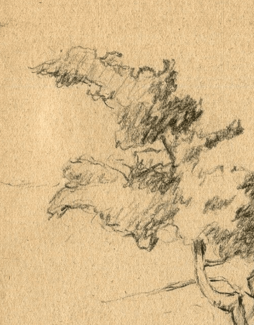 Vintage Pencil Original Drawing signed Tree Landscape Recipon 1945 image 2