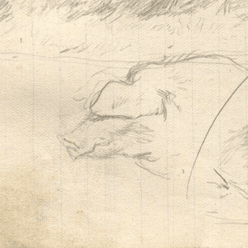 Vintage Pencil Drawing Original Profil, Head of a Pig, Animals image 2