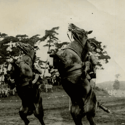 Vintage Photography Original Horses The Crown Prince Life in Japan 1920' image 5