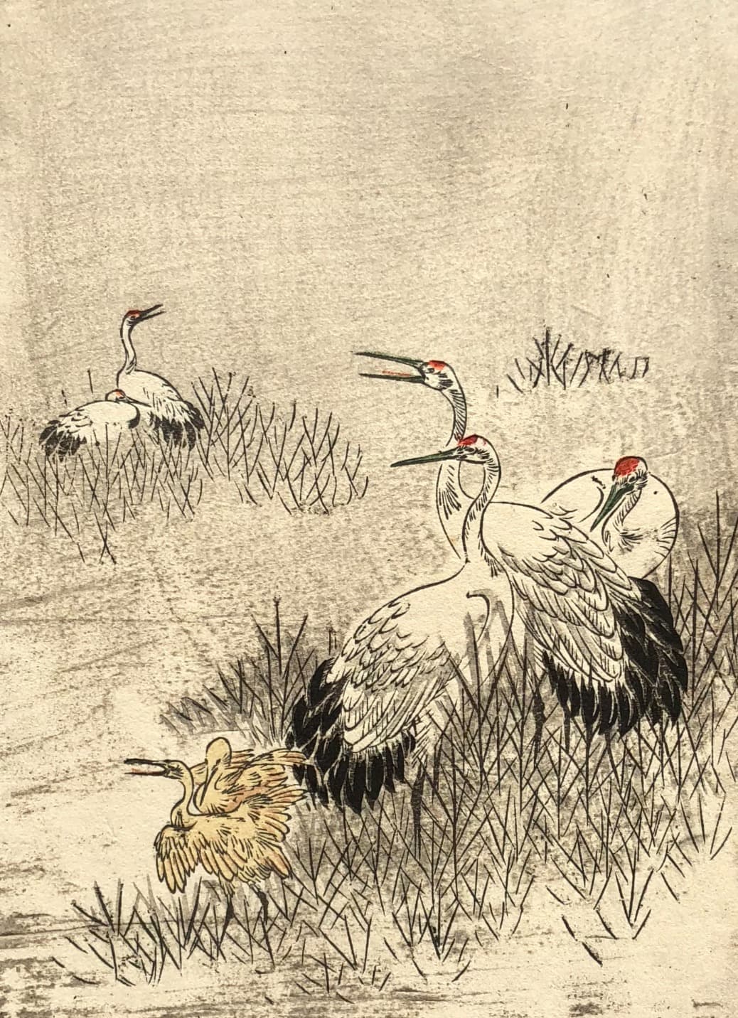 Red-crowned Cranes Ukiyo-e Print c. 1890 image 1